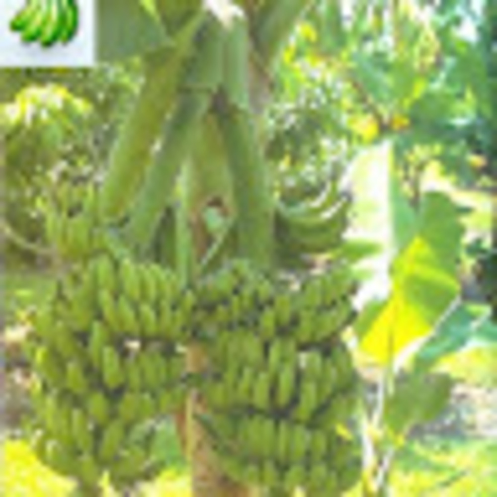 Meet your Posher, Humbleness